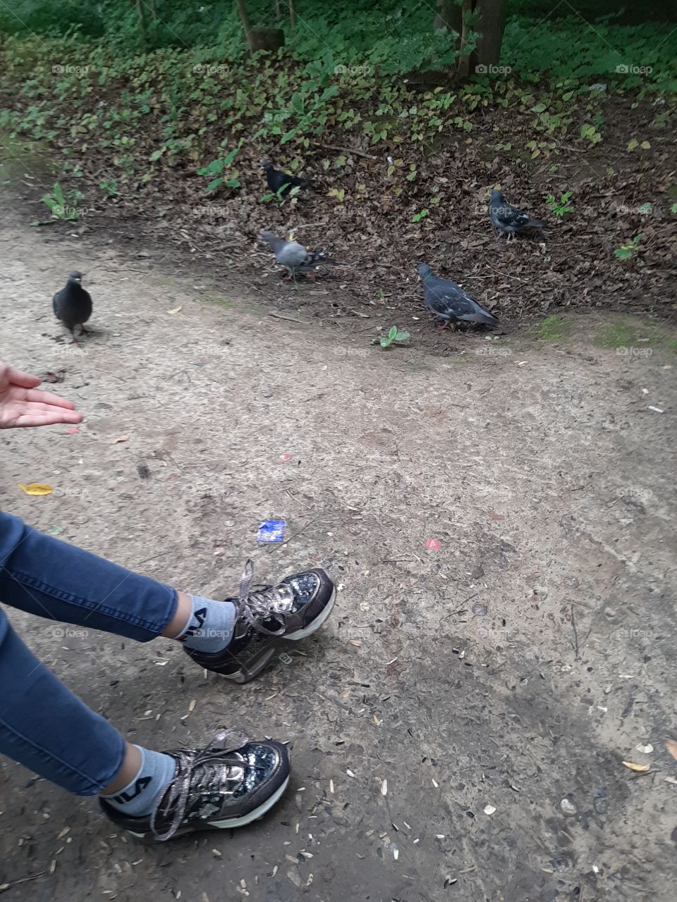 Гули,  гули.