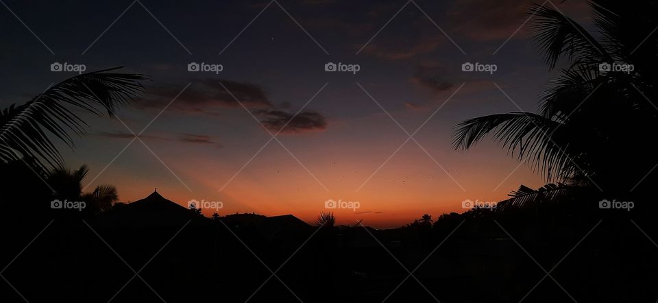 "Love calls - everywhere and always.
We're sky bound
Are you coming?"