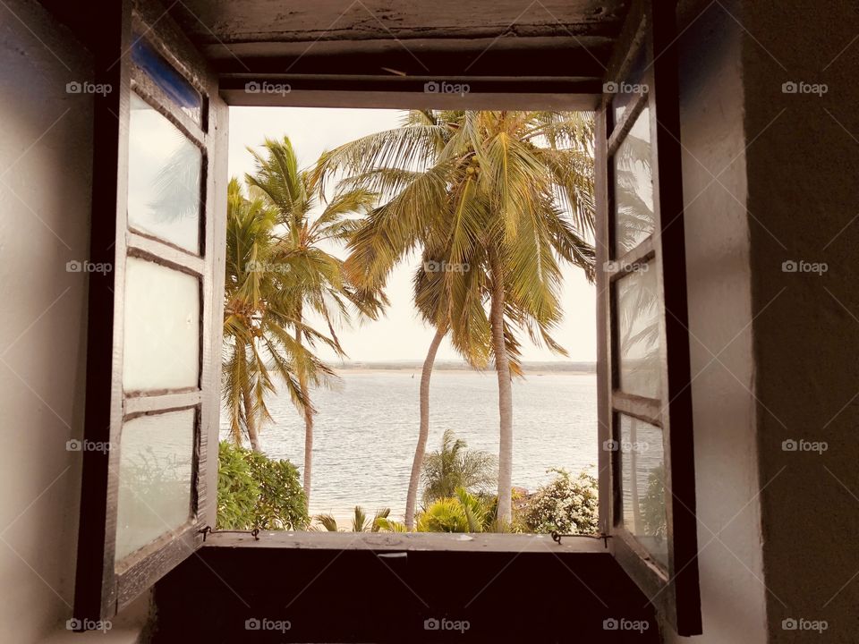 Window to paradise 
