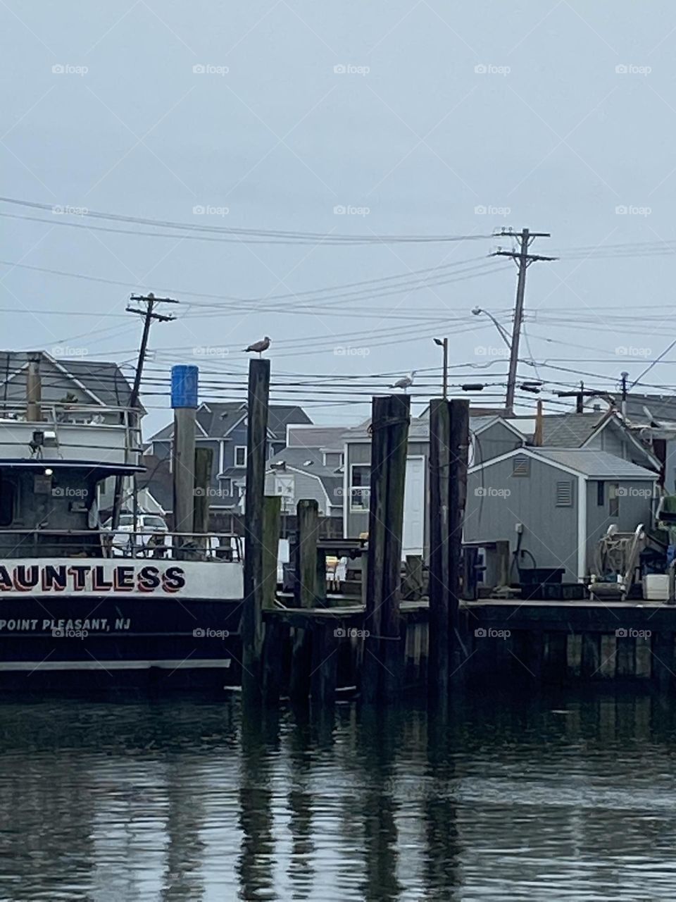 Two seagulls sit on top of pilings at a fishing dock at a marina in Point Pleasant Beach, NJ. 