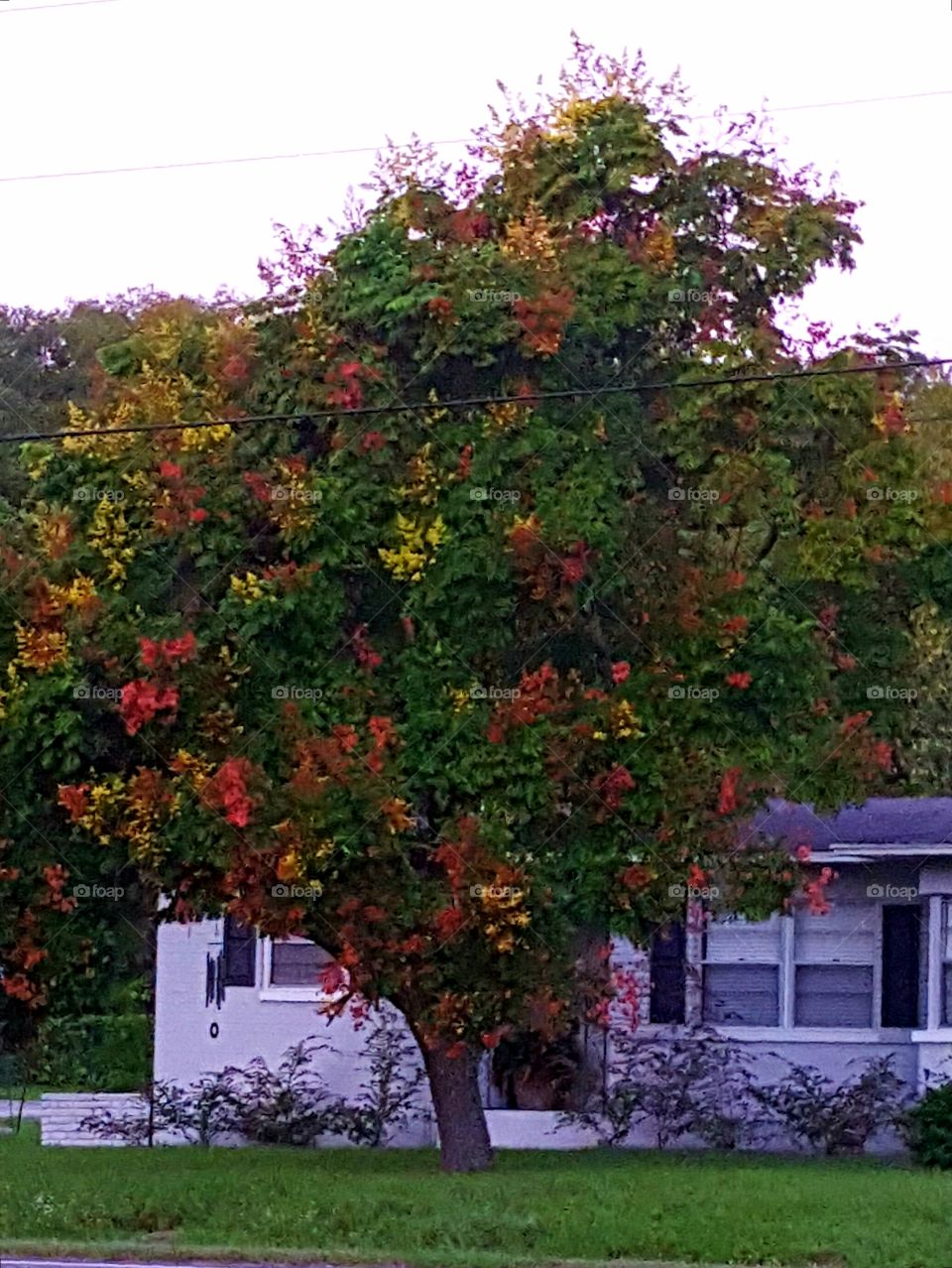 autumn in Keystone