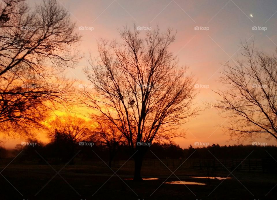 Sunrise with moon. Sunrise this morning. I liked the moon.