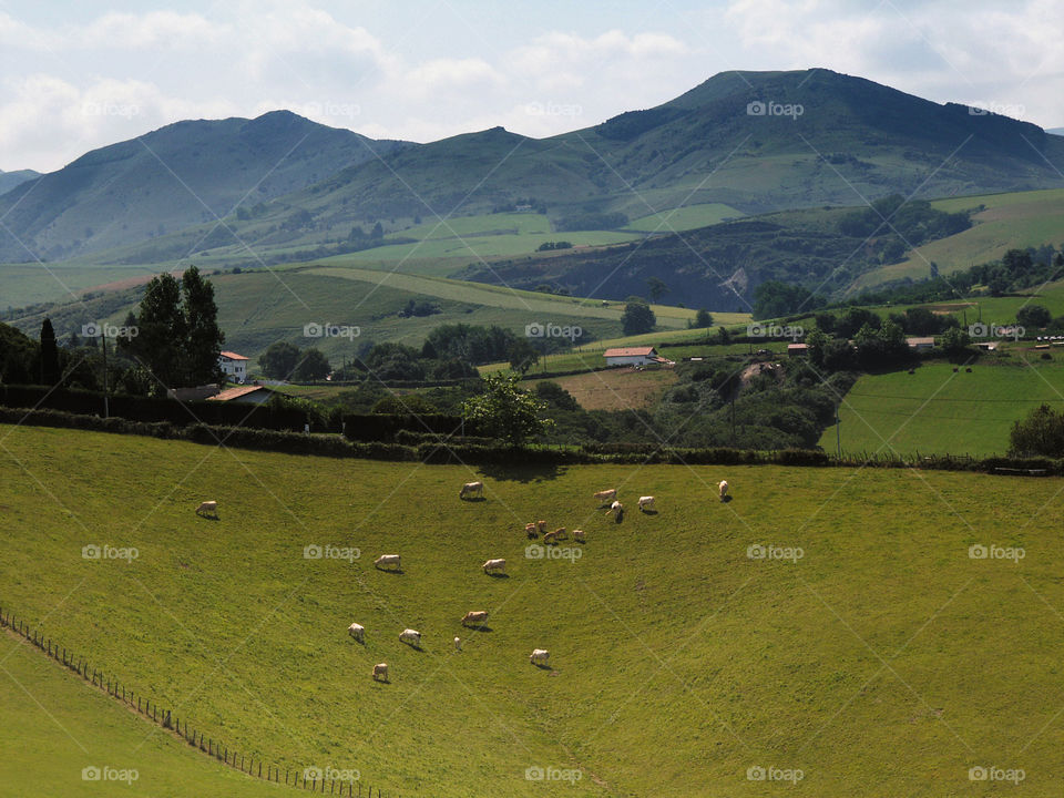 Pays basque 