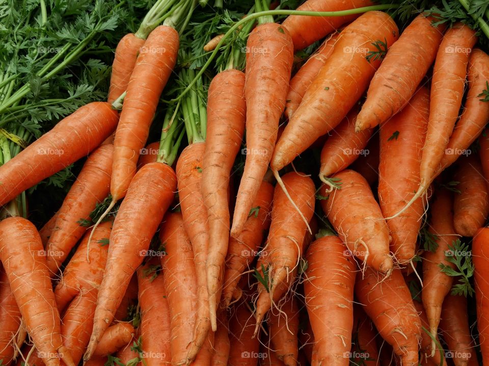 Fresh Carrots At A Farmer's Market
