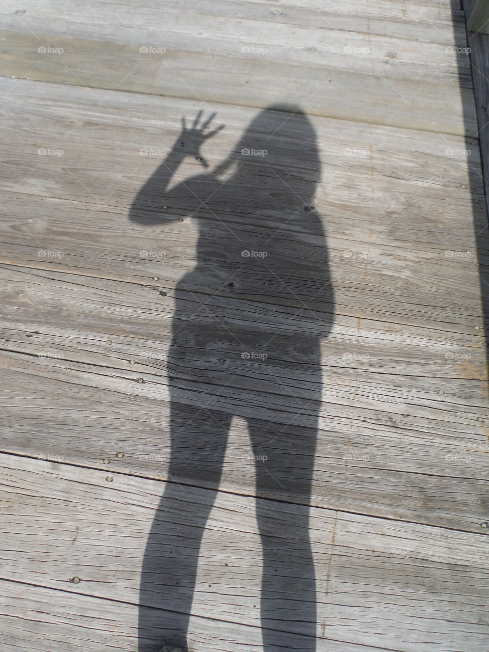 hi shadow. walk the plank