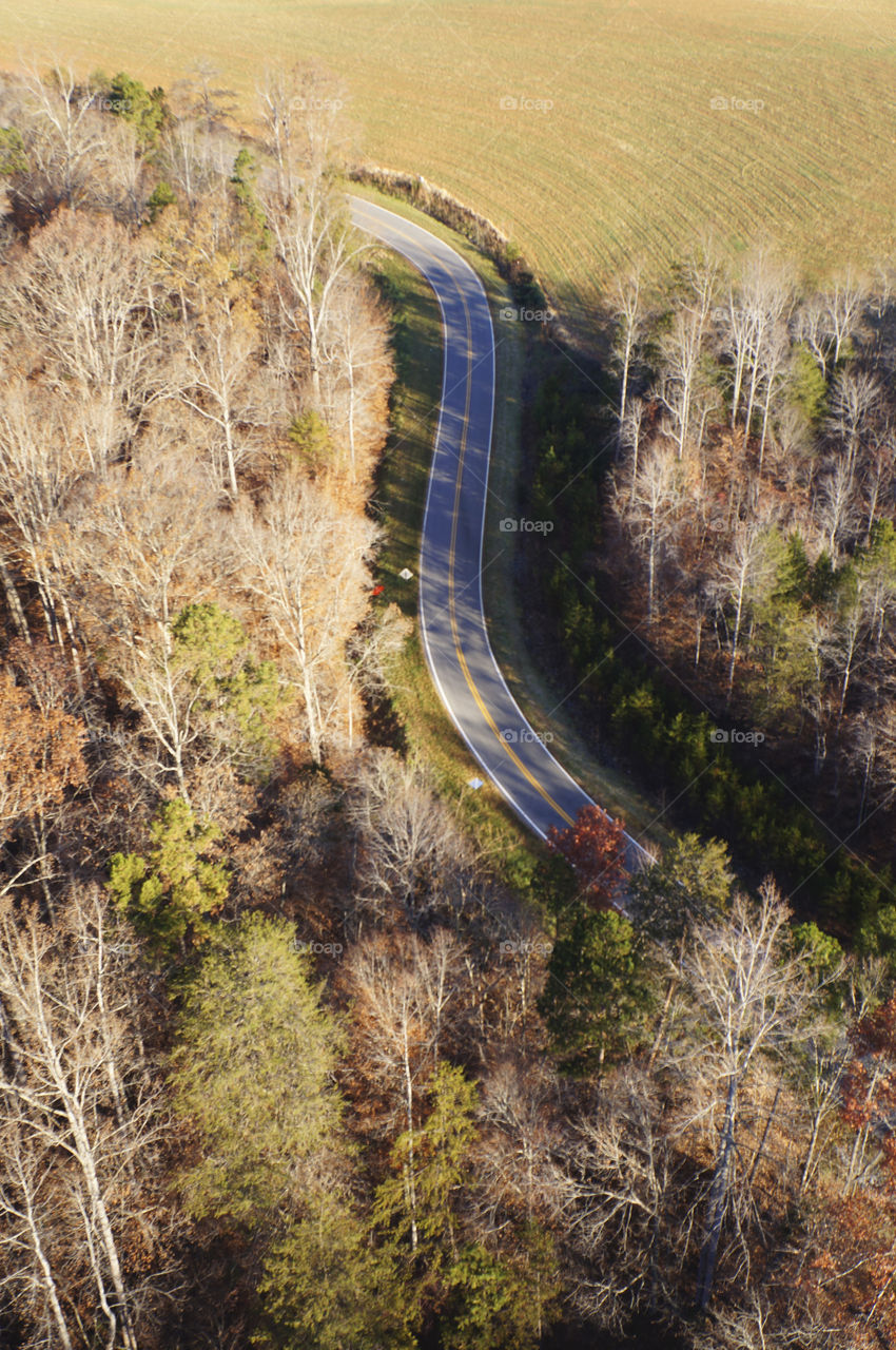 Country Road in the Fall