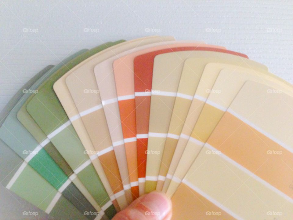 Color swatch paint