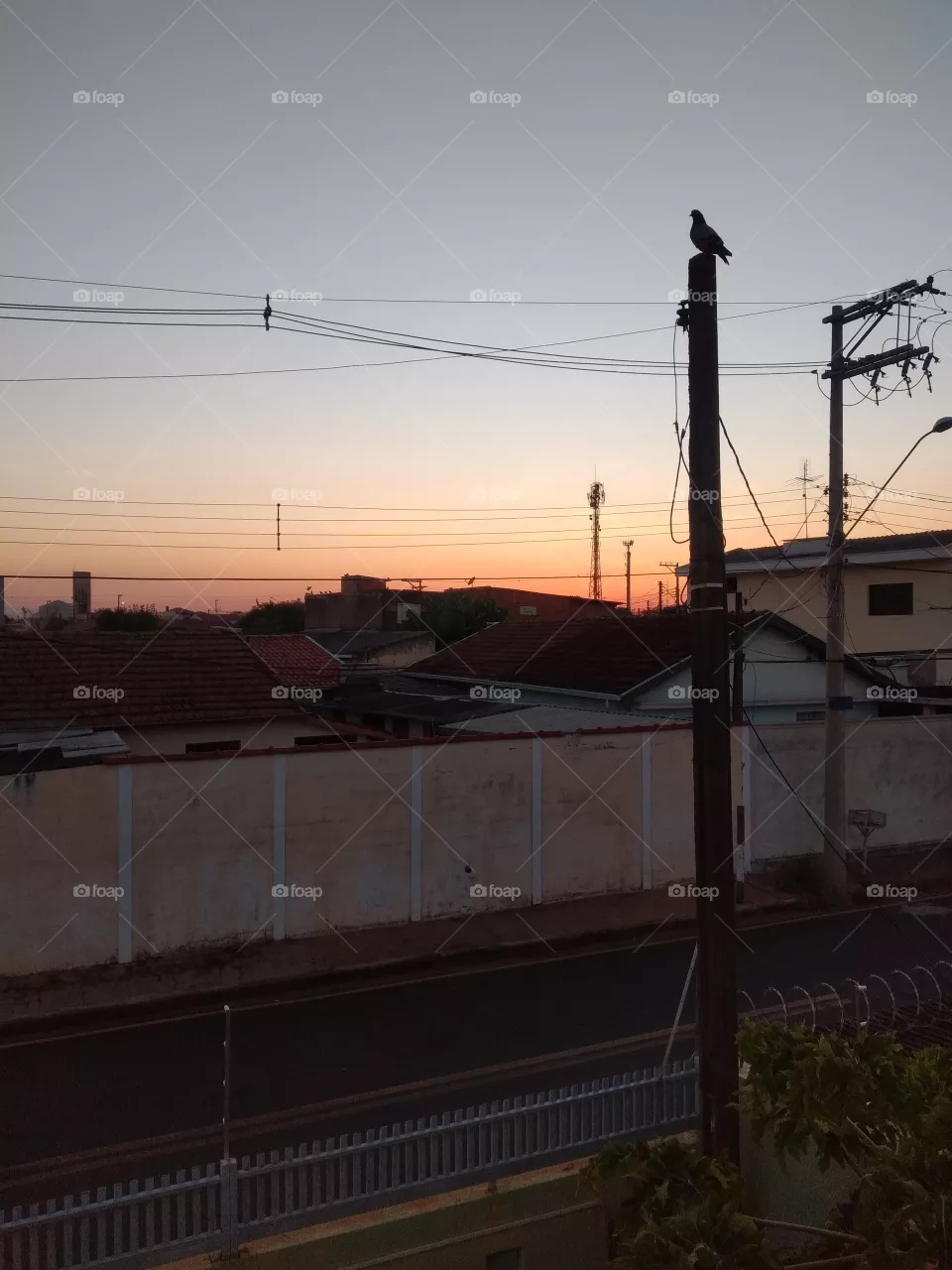 bem vindo foap