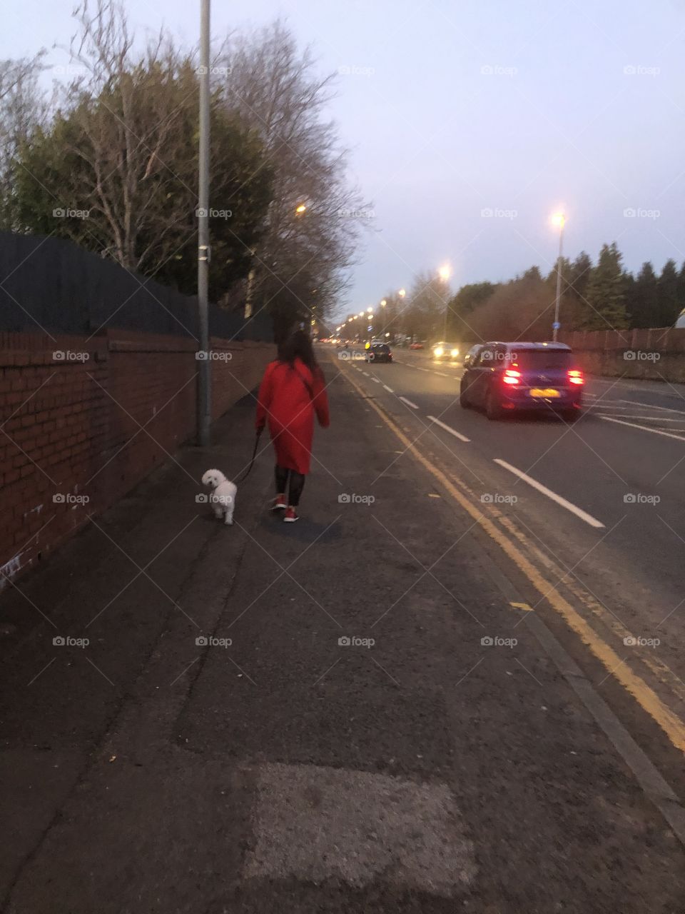 Keep distances while walking with the dog.