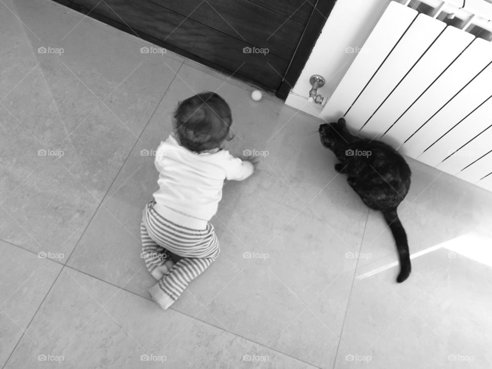 El nene y el gato