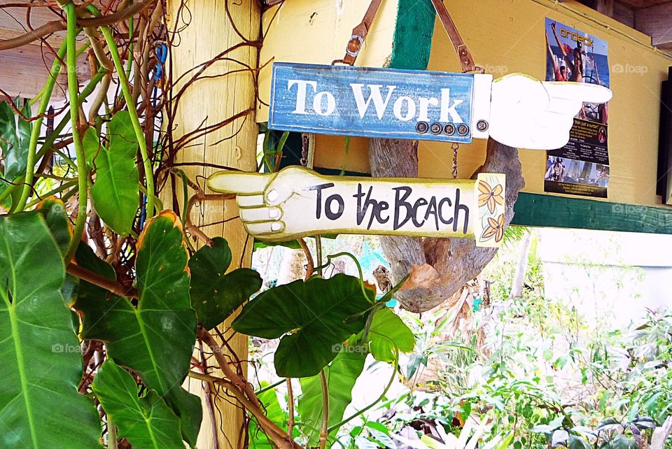 To the Beach or to Work? Carlyle Bay Antigua, Caribbean 