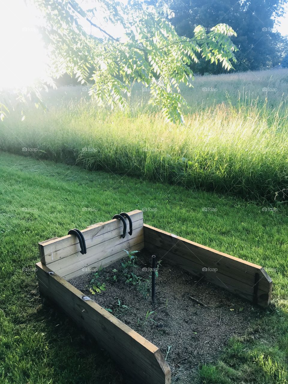 Gorgeous sunset with sun shining through tree branches, beautiful grassy field and fun horse shoe pit. 