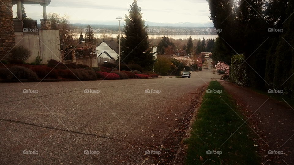 Stopping For Reflection