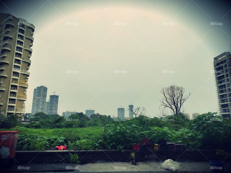 Cityscape Mode📷📷
Combination of Nature

Flora and Sky
🌿🌿🌿🌿🌱🌱