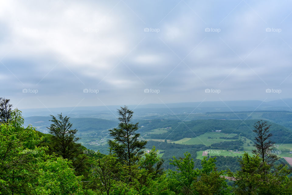 Take time to stop and look at nature.