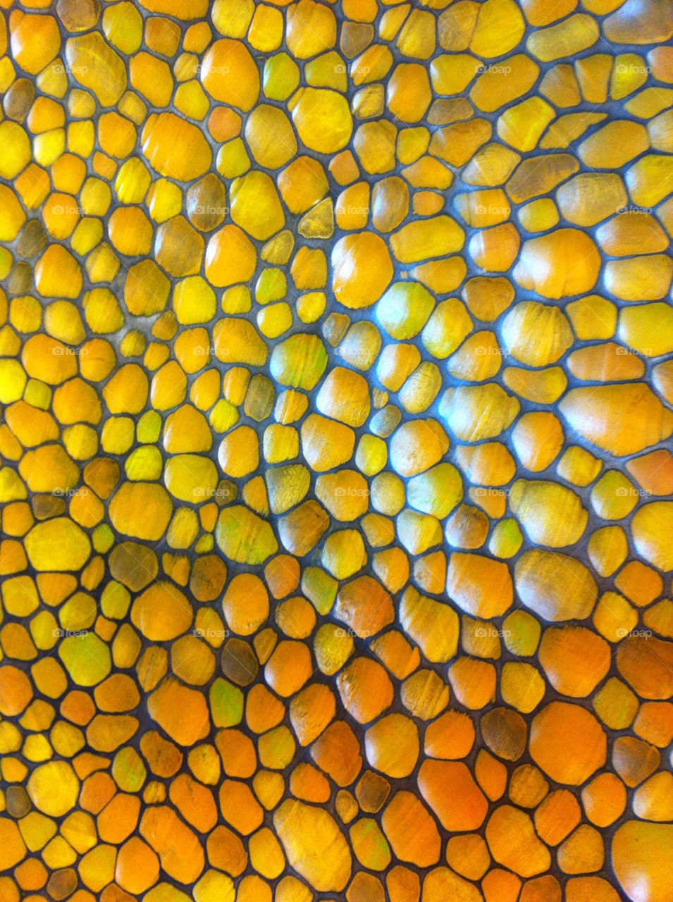 yellow art pebbles by tplips01
