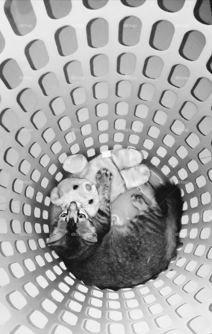 Monochrome photo graphy