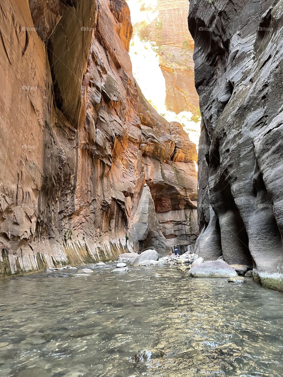 The narrows 