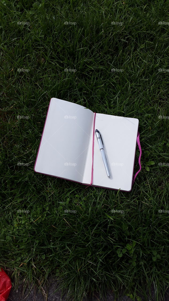 notebook on gras