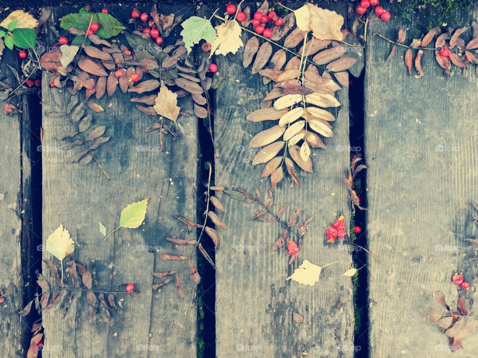 Flat lay of dried autumn foliage on a wooden bridge