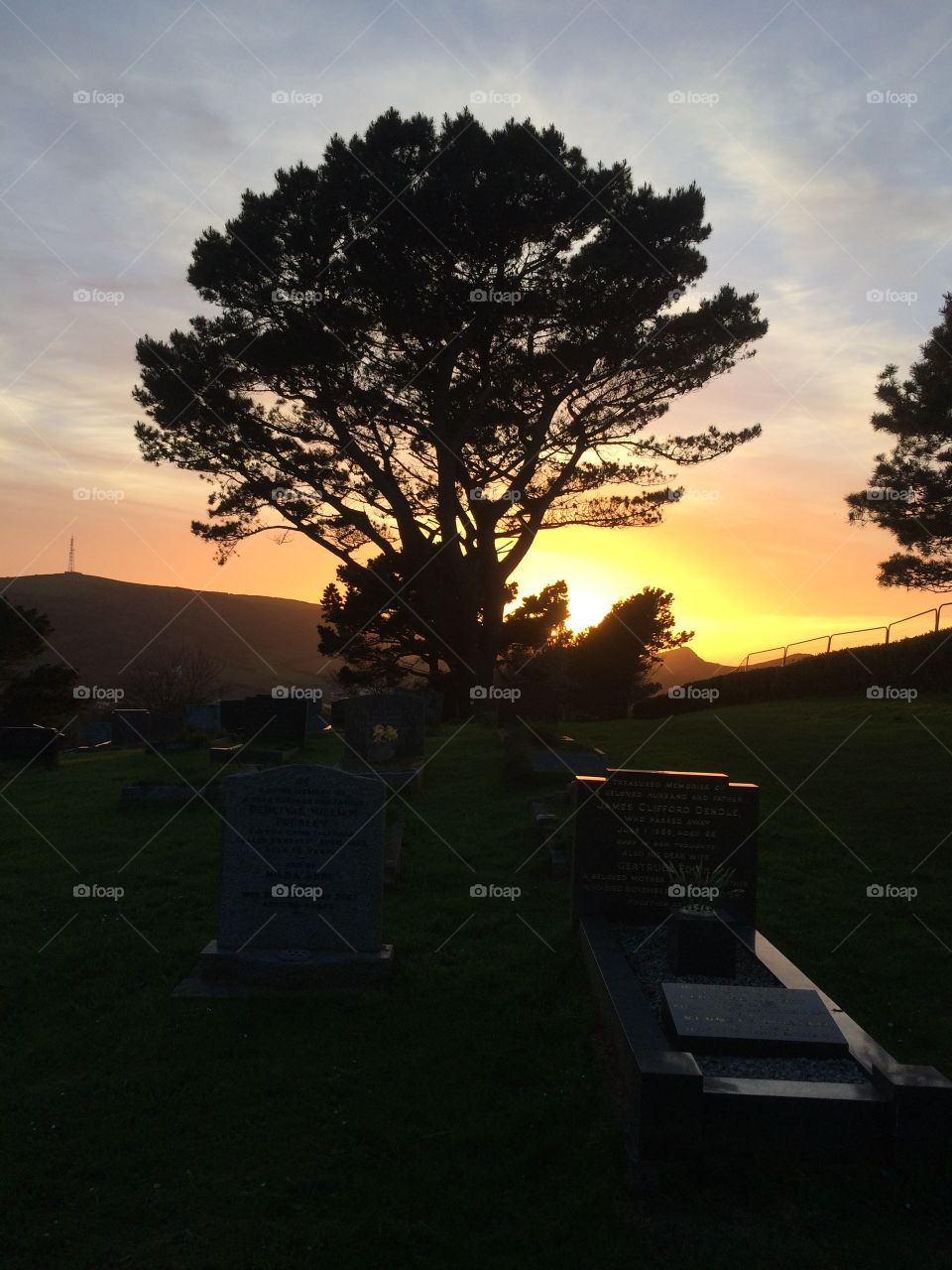 Rest and enjoy what beauty there is in nature - North Devon 