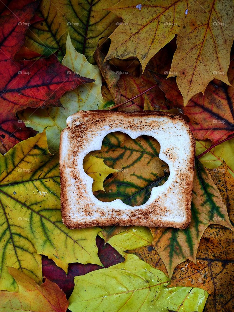 Autumn.  On multi-colored maple leaves lies toasted bread, the middle of which is carved in the shape of a flower.  All the colors and shades of autumn