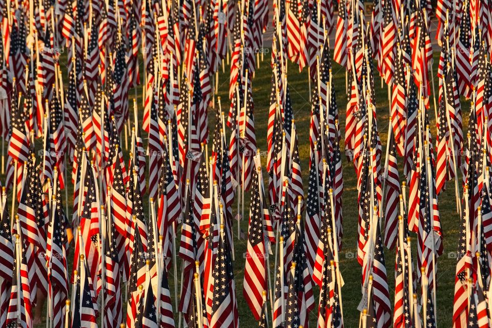 Hundreds of American flags fill a park at sunset