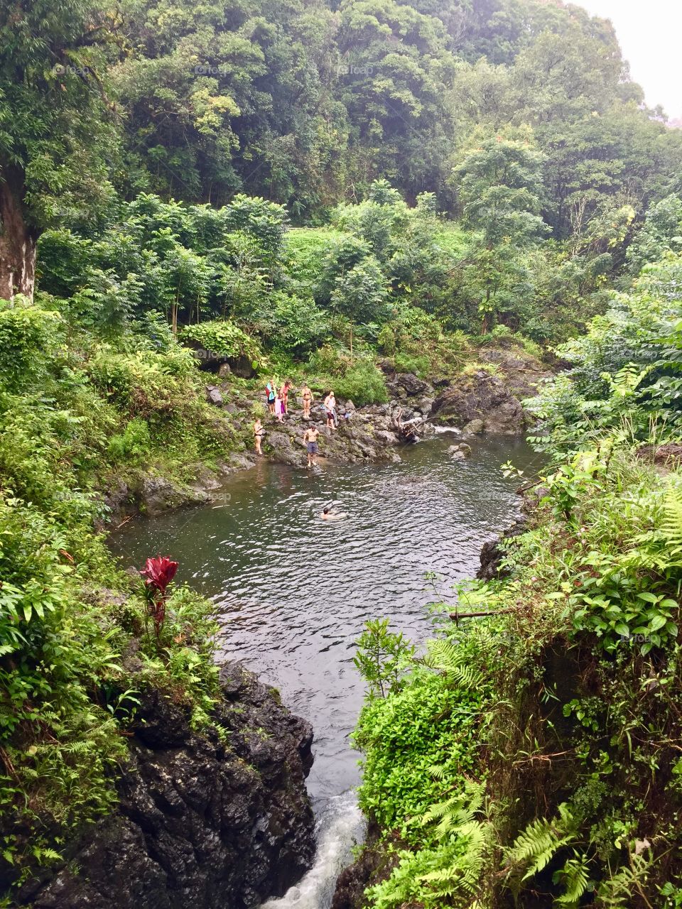 Hawaiian swimming hole
