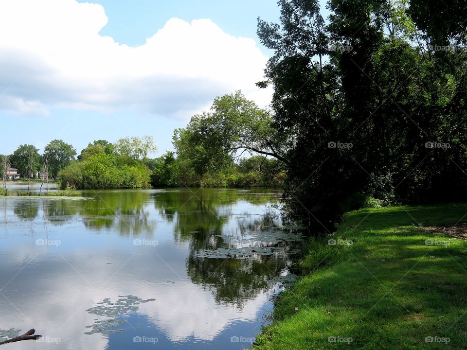 Reflections on the Pond