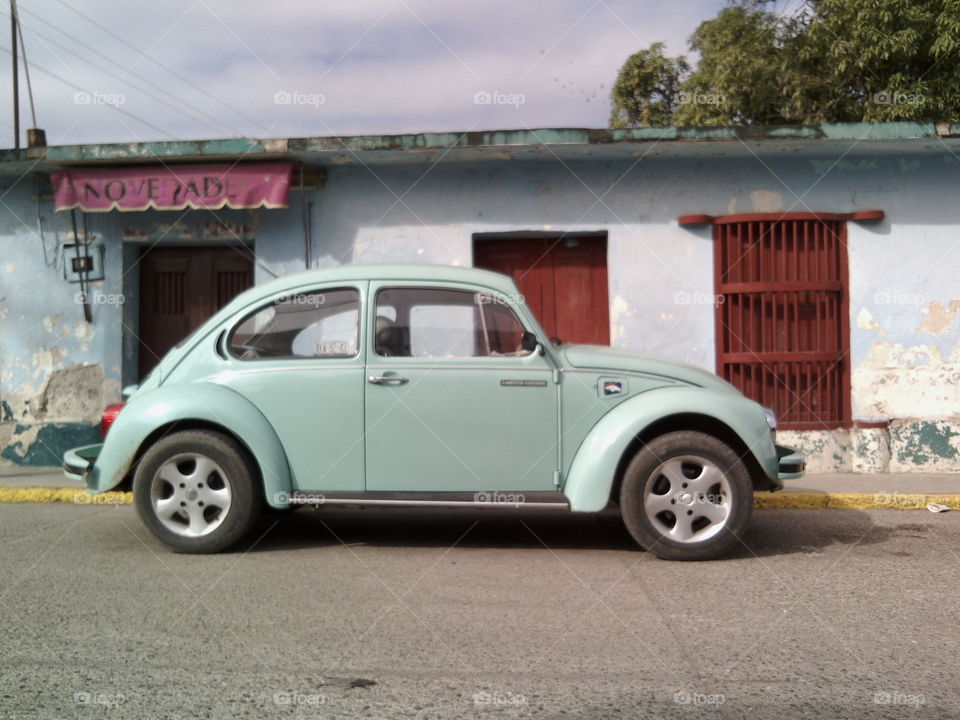 Beetle