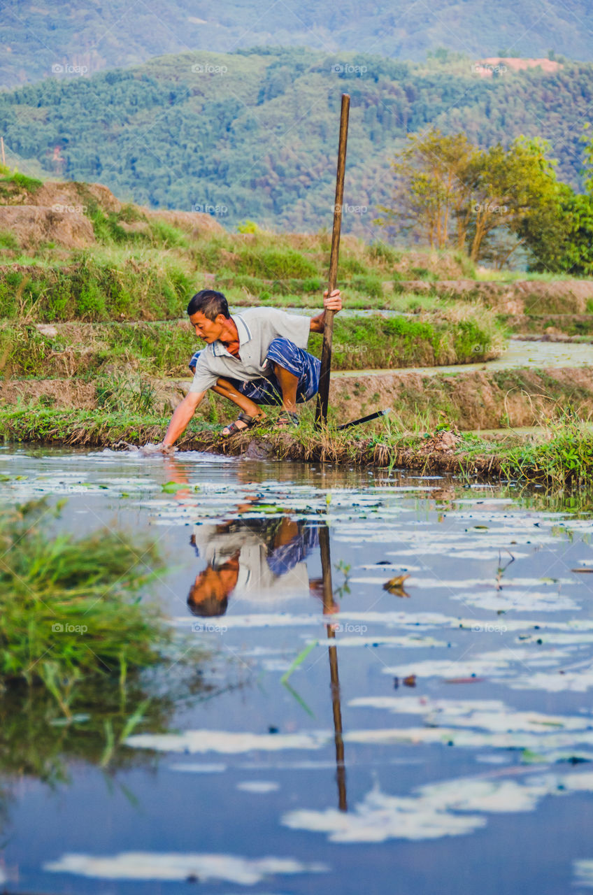 Lotus farmer