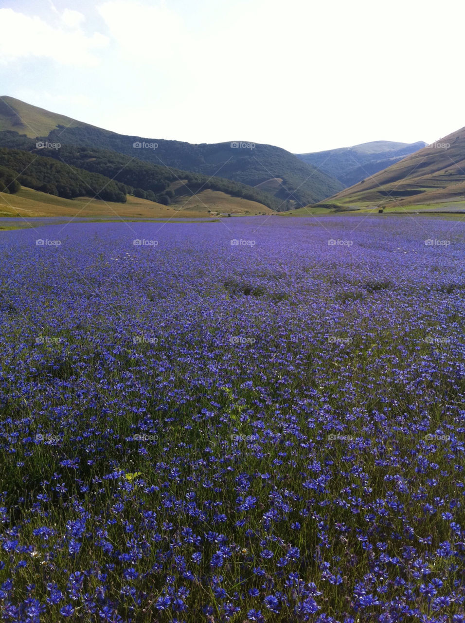 italy umbria macerata by babie