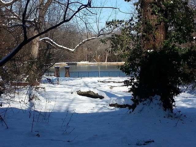 Winter Day