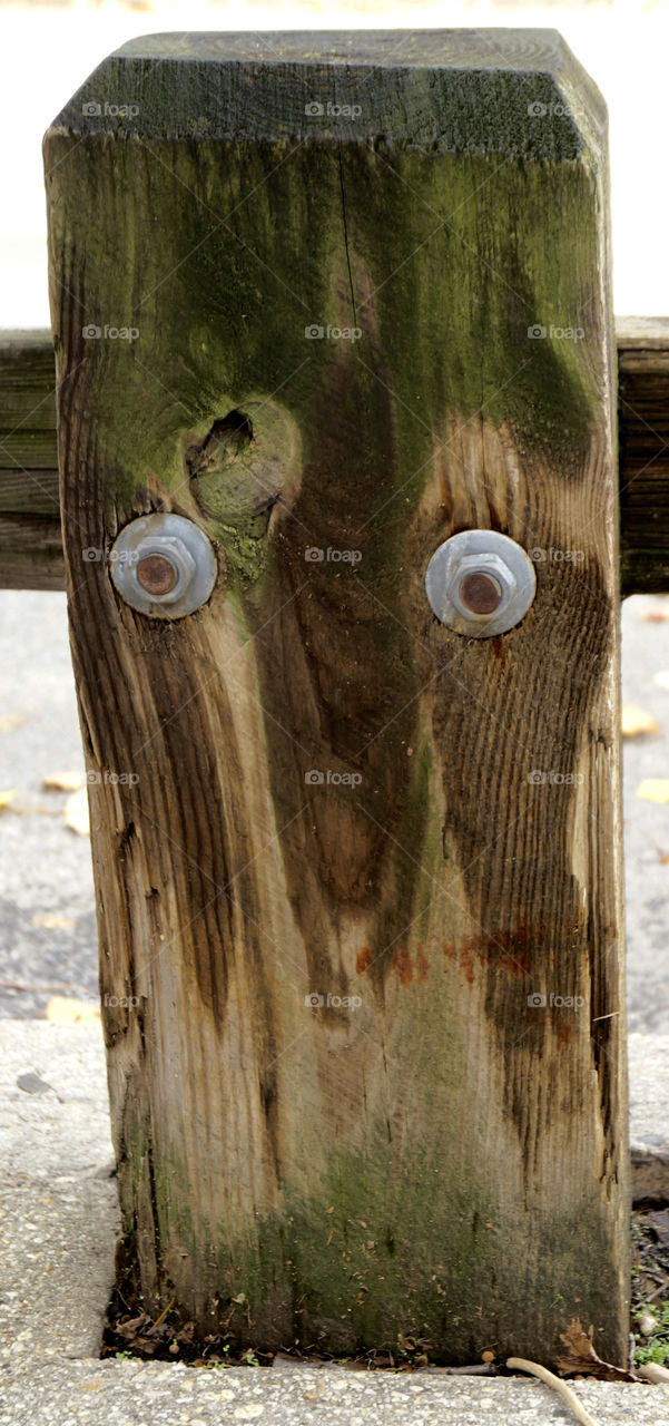 wood with eyes