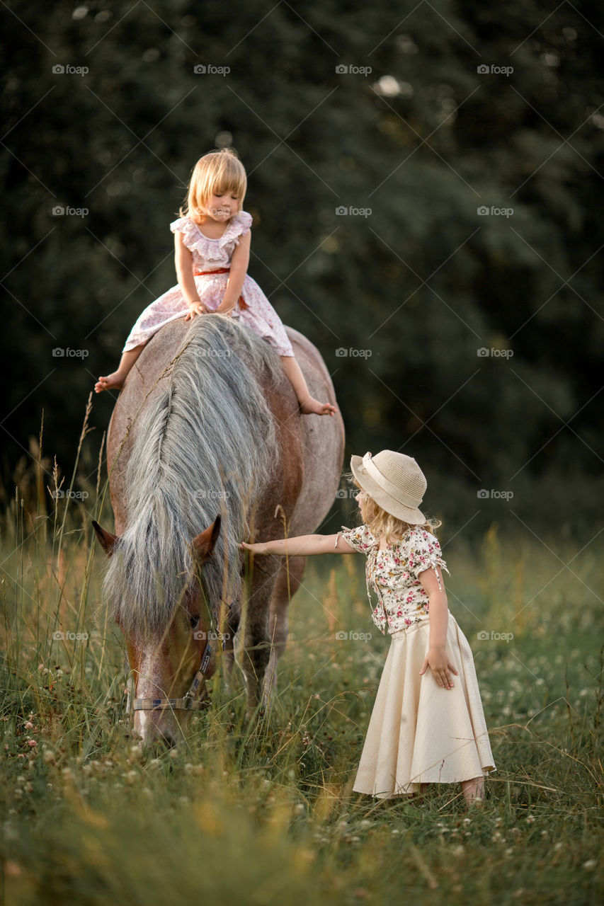 Little sisters with horse at summer evening 