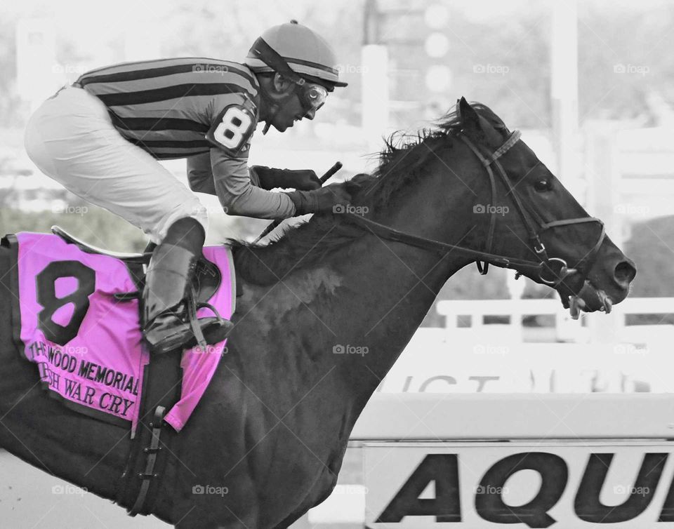 Irish War Cry Winning the Wood Memorial stakes.