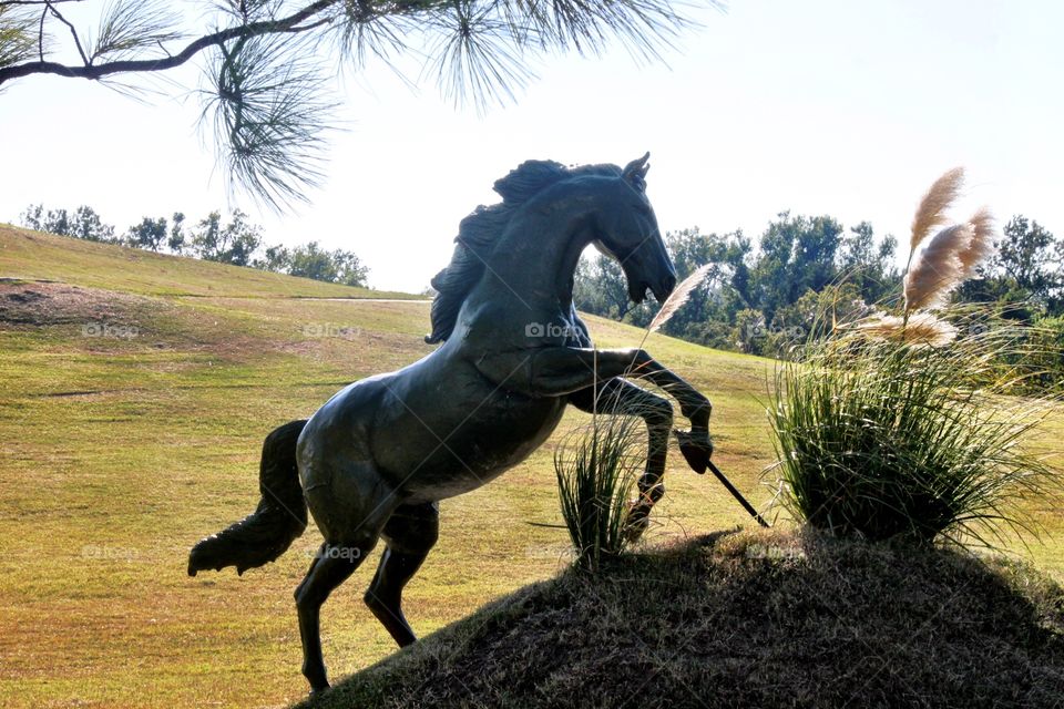 Horse Statue