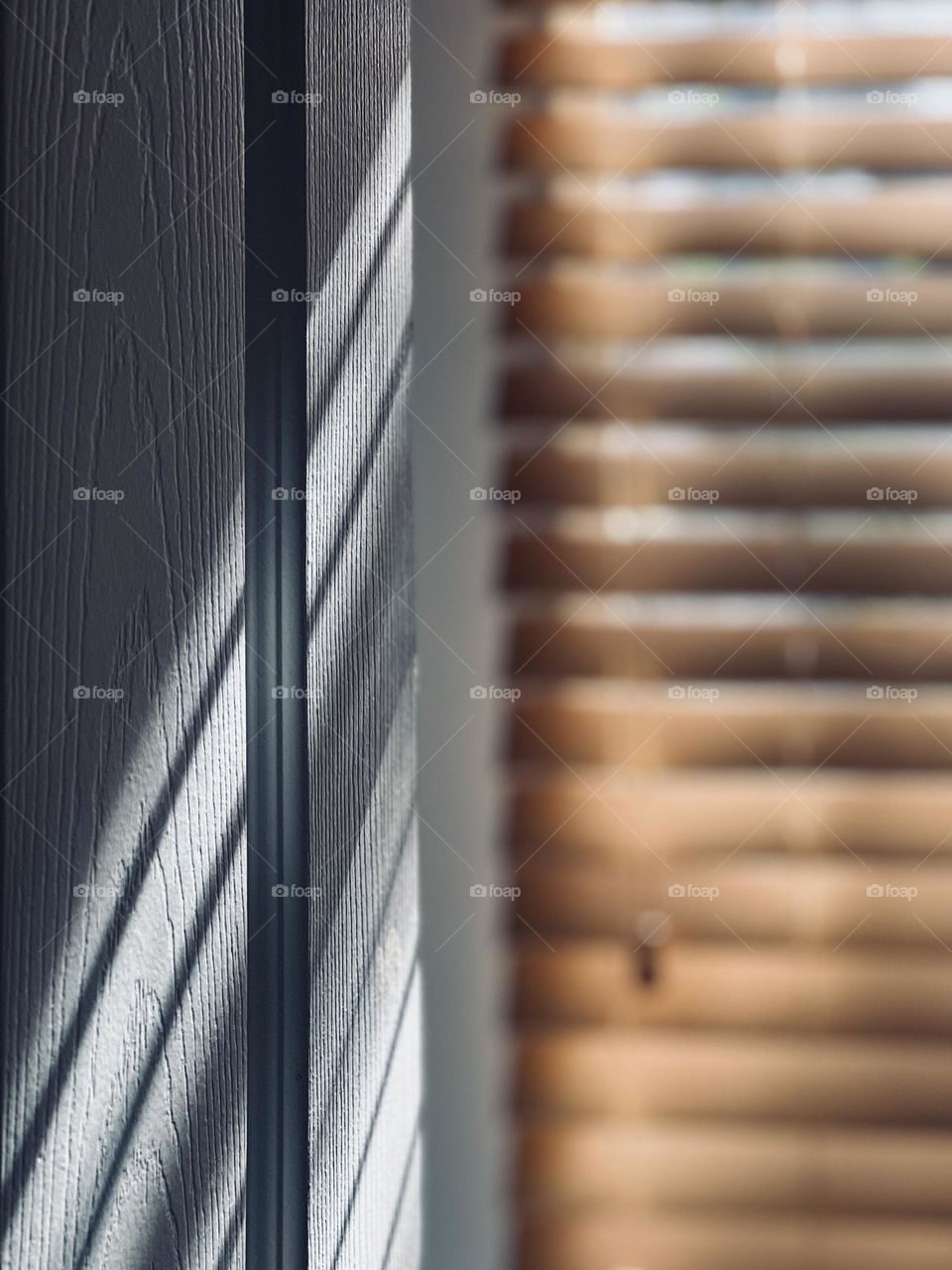The simple magic of light through window blinds onto an interior wall and door