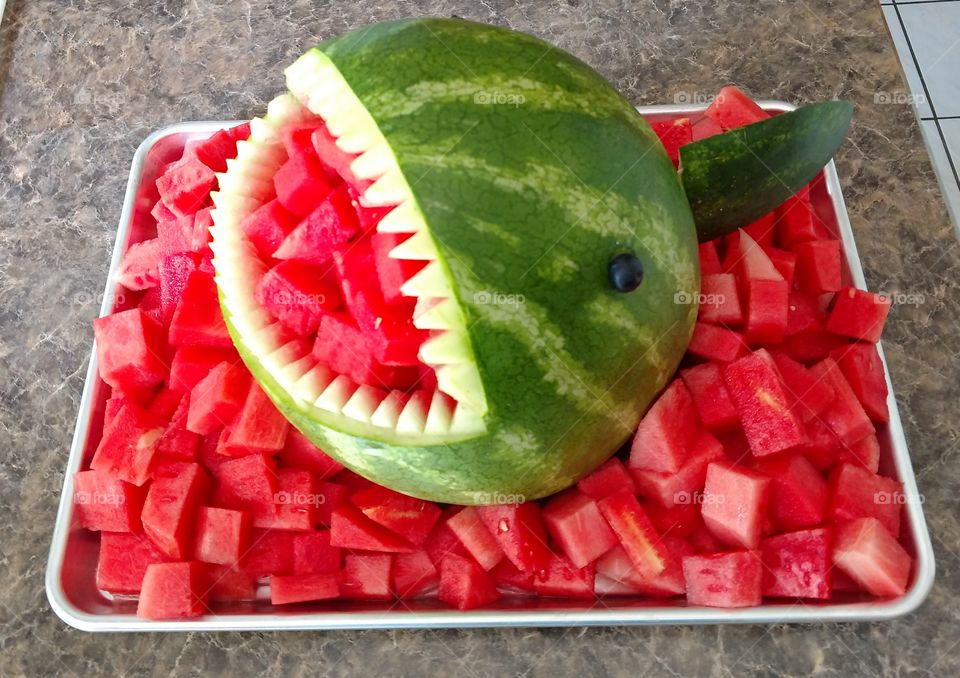 watermelon shark