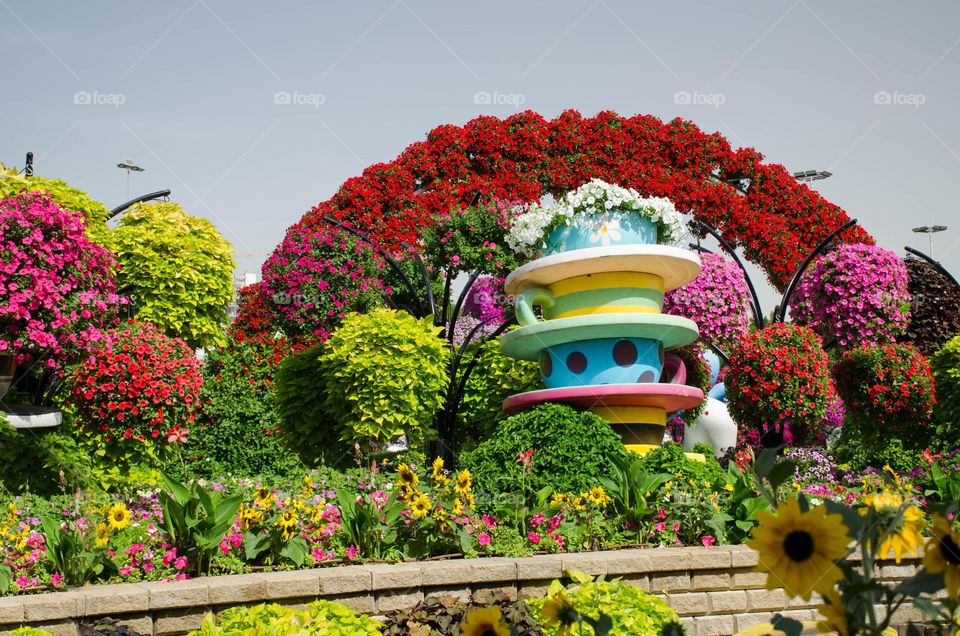 Urban Nature Plants, Dubai