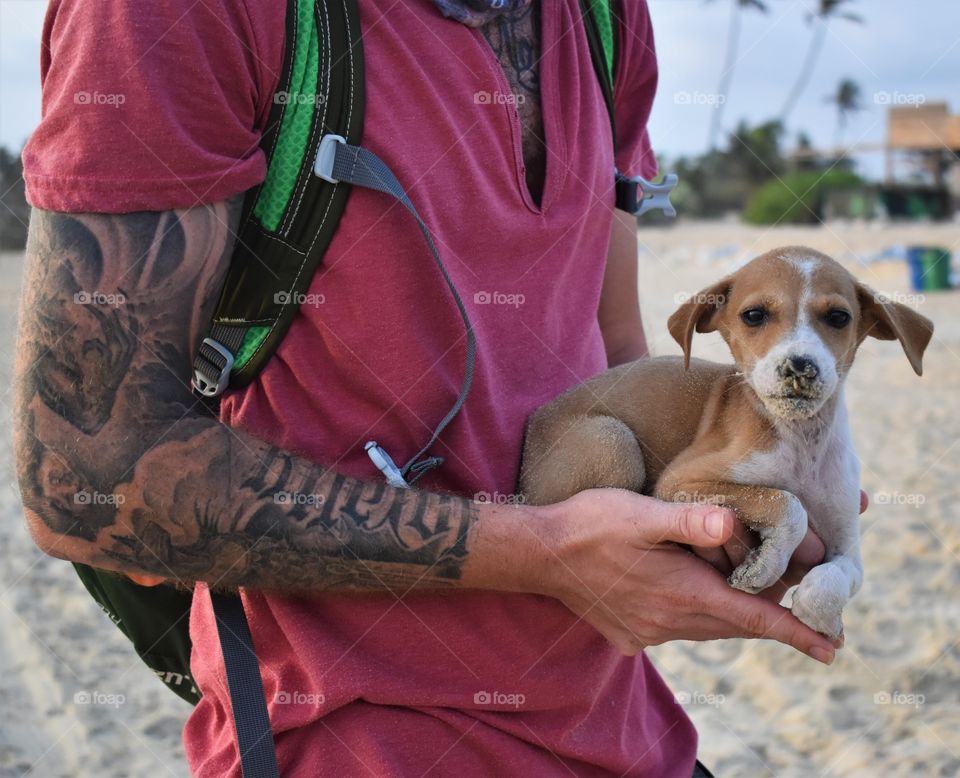 tourist on beach holding a street puppy..