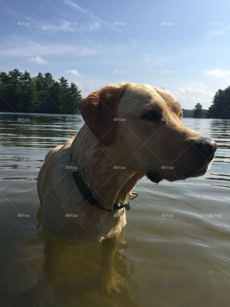 Standing in the Water