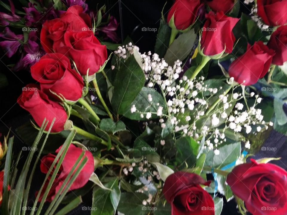 Red Roses
