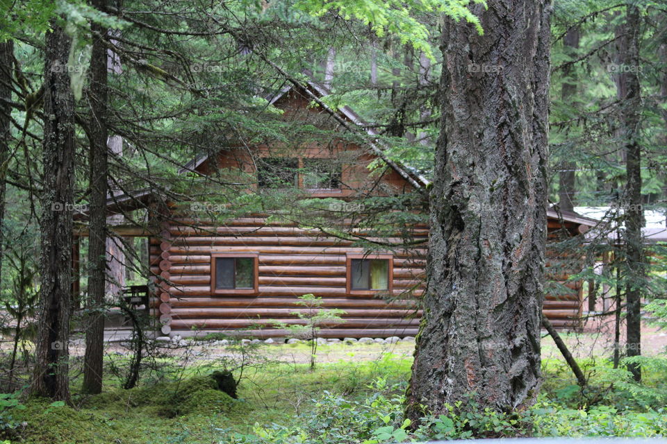 log cabin