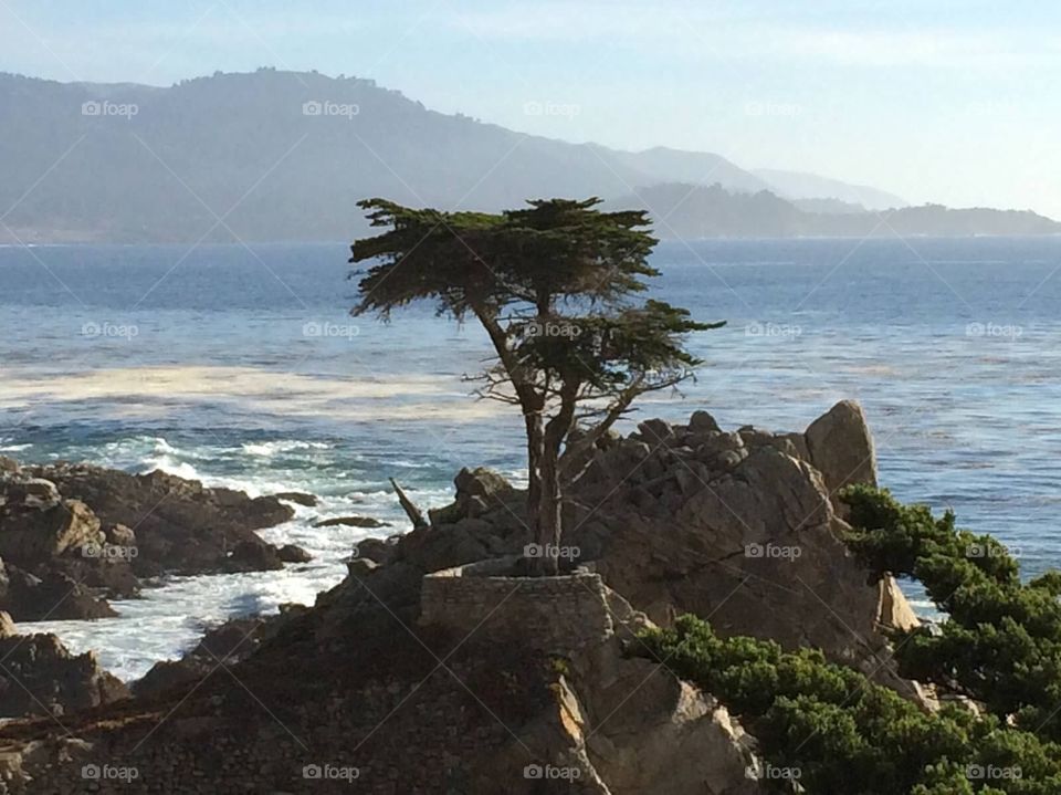Monterey coastline