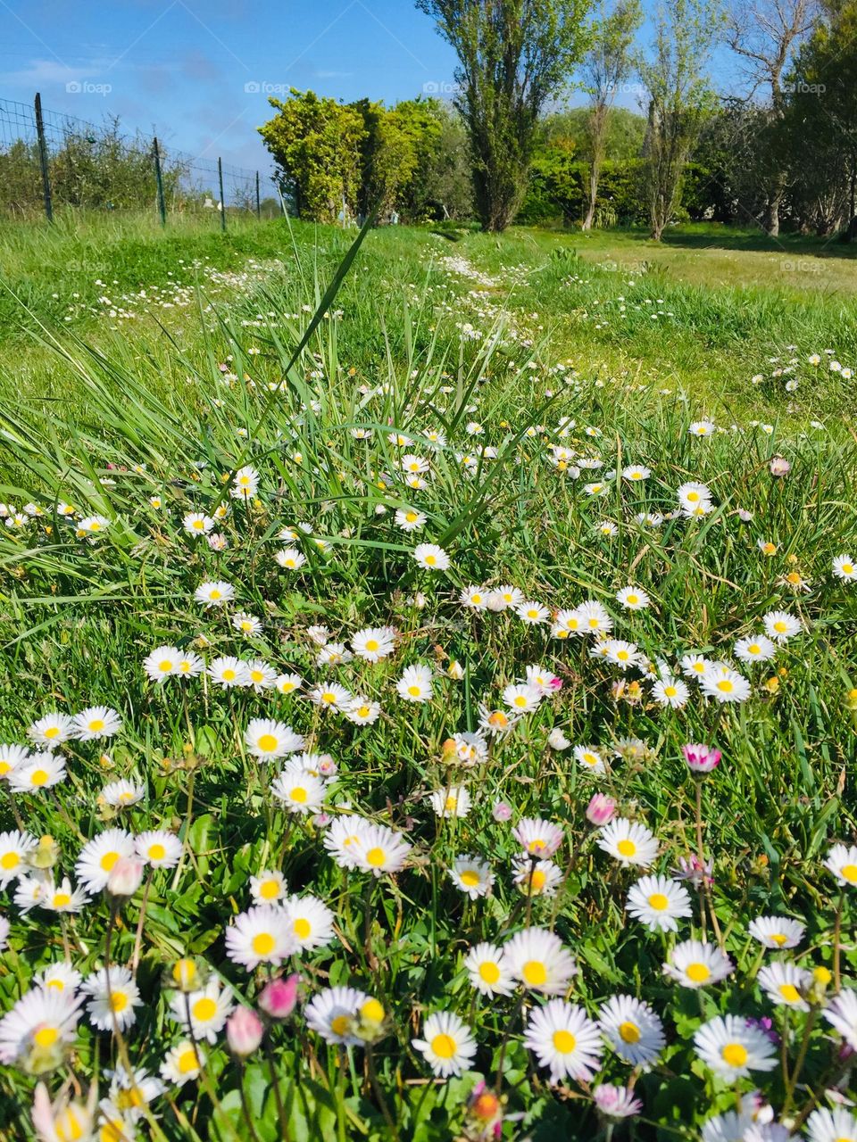 The Best of 2021: Nature