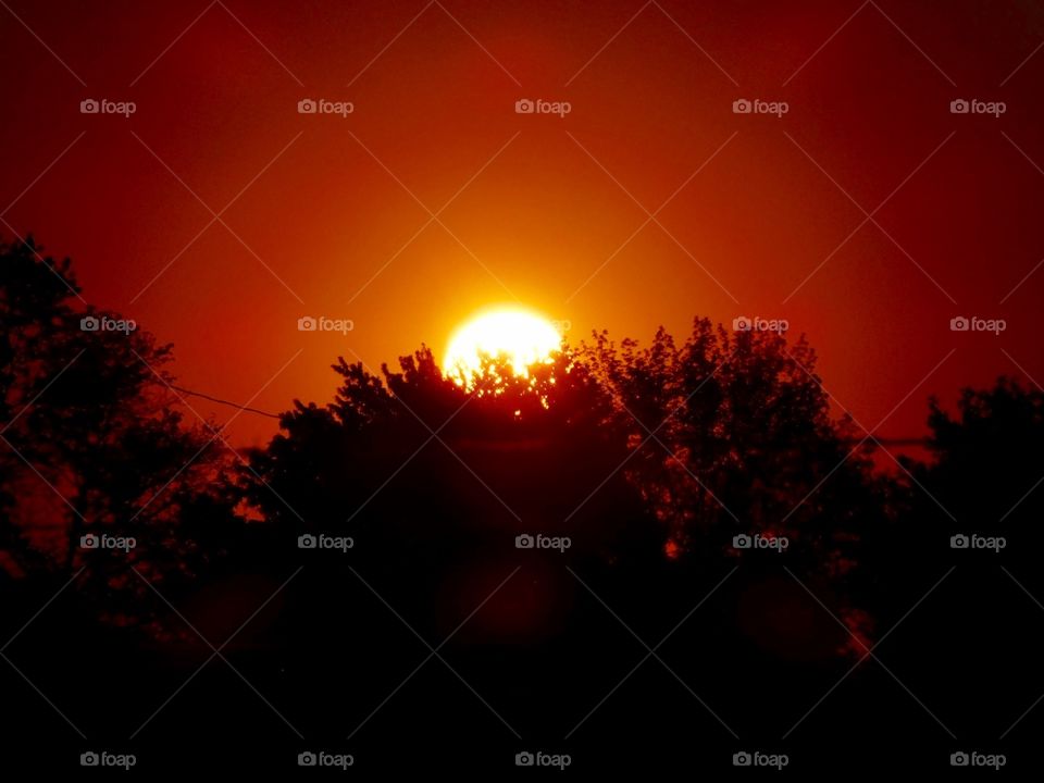 Sundown behind the trees