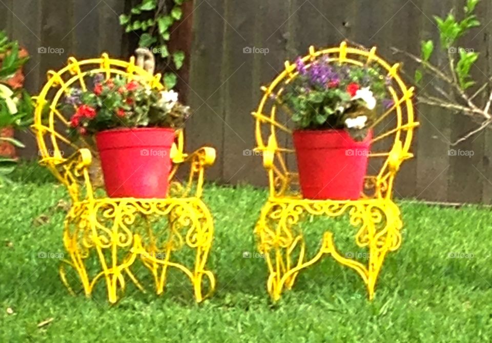 Yellow chairs in the garden. Recycled yellow chairs with flower pots