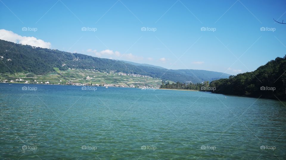 Swiss lake St Pieterlen Island