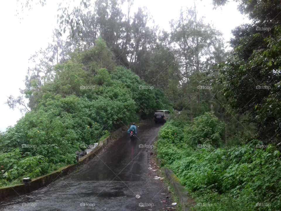 rain, wet track, steep, wooded path